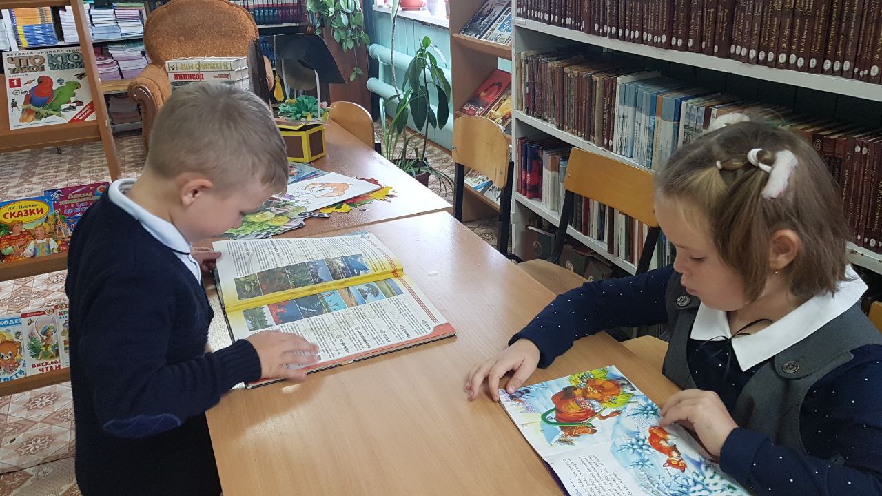 Изображения библиотеки.