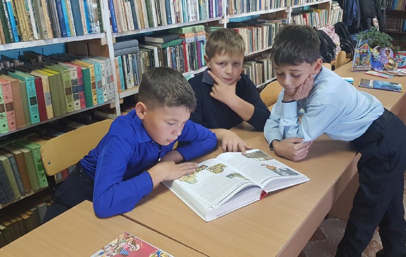 Изображения библиотеки.
