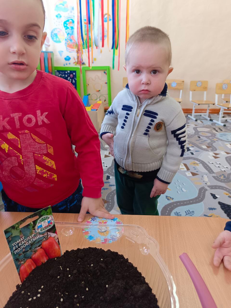 Сортоиспытание семян компании СеДеК.