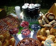 V Форум агрошкол и школ-хозяйств «Агрошколы и школы-хозяйства России: достижения, проблемы, перспективы».